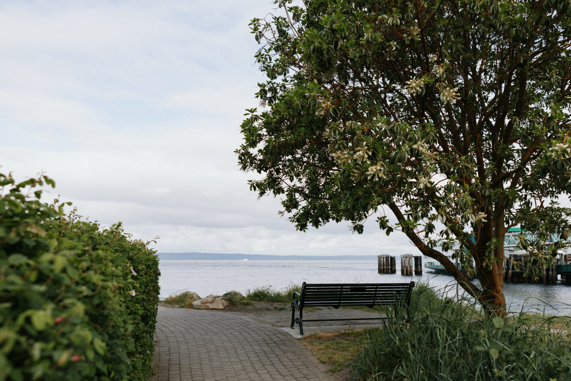 Edmonds waterfront environment