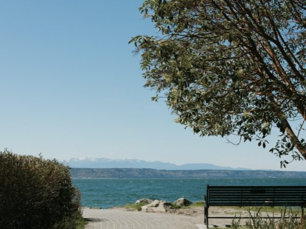 A healing coastal environment.